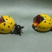 Vintage Ladybug Scatter Pins Cute
