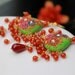 Fiery Carnelian, Pink Ruby Jade gemstone cluster earrings with clay floral beads -Bright green and red - Geraniums in Bloom