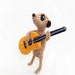 Meerkat with knitted acoustic guitar, guitarist meerkat, meercat guitarist, meerkat musician