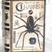 SMALL Vintage Paper Mache Halloween Witch's Book of CHARMS Box hand Painted (SPIDER