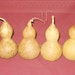 Four Thick Shelled Bottle Snowman Gourds (Item 21)