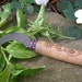 Ritual Bolline with Goddess Set in Pyrography