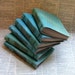 6 blank bulk journal set by bluetoad journals of tremundo