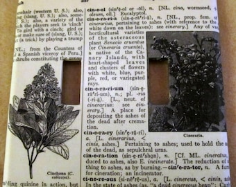 vintage dictionary CINCHONA (plant), CINERARIA (plant) dual light switch plate