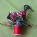 red bird Spool