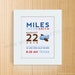 Custom Birth Announcement Print - AIRPLANE Wall Art