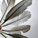 Smoke Gray Wing Tail Feathers Organic Blue Cochin Rooster Plumage Natural Humane Craft Supplies Conservation Priority Watch List