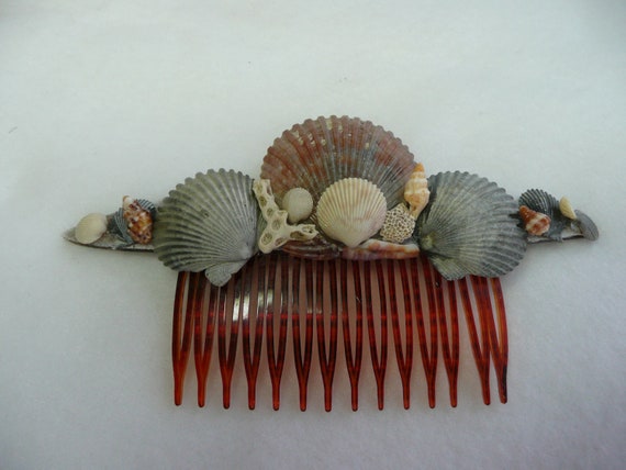 Sea Shell Vintage Tortoise Shell 6 Hair Comb by HintOfNature