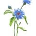 Blue Flowers Watercolor