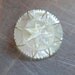 1930's Carved Mother of Pearl Brooch with Star Pattern