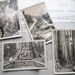 Vintage Sequoia National Park Postcards