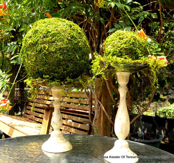 8 Moss Ball Garden Party decorWedding favorsFairy