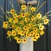 Autumn Fields - Fall Flowers - Rustic Container - Original Door Decor - Burlap Ribbon Bow