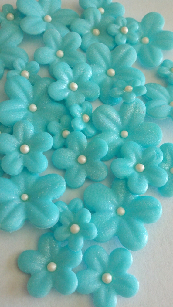 teal fondant teal fondant