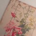 french roses, belles roses de france, wallhanging, canvas, wood frame