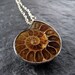 Amber Brown Ammonite Fossil Pendant