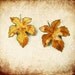 Vintage Clip Earrings Autumn Leaves for Fall Fashion