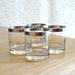 dorothy thorpe silver band old fashioned glasses
