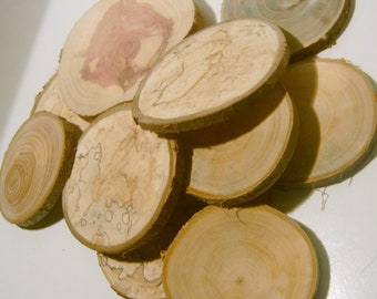 120 Assorted Blank Tree Branch Slices 1 to 2 inch DIY Wedding