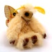 Little Monster - Io Moth