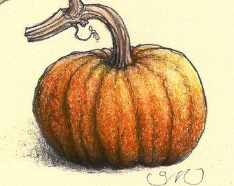 pumpkin sketch