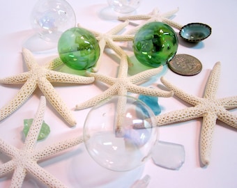 Beach Decor Starfish - Nautical Decor RARE 6 Arm White Starfish, 2-3"