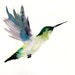 HUMMINGBIRD by DIMDI Original watercolour painting 10x8inch