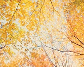 Autumn photography 11x14 fall wall art autumn photo primitive fall decor nature photography autumn leaves photo blue orange yellow