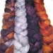 Wonder Bundle Polwarth & tussah silk roving 9 oz Enchanted Forest