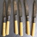 Fruit Knives Sterling and Celluloid Landers Frary and Clark