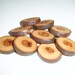 9 Handmade apple wood Tree Branch Buttons with Bark, accessories (0,98" diameter x 0,20" thick)