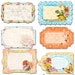 BRAND NEW: Notecards in a Pouch Zephyr Journaling Cards Die cuts in a Pouch for scrapbooking cardmaking album and many more