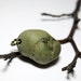 Genuine Stone Jewelry Sea Glass- Sage Green Slag Glass Pendant Supplies- Handmade Bead for Jewellery Makings by Allybeans