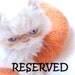 RESERVED Cat house/Cat bed/Cat cave/Cat vessel. RESERVED