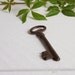 Vintage skeleton key