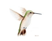 Hummingbird Art Watercolor Painting - Hummingbird No.4 - 5x7 inch Signed Fine Art Print - green and brown hummingbird, bird art, nature art