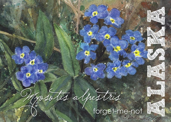 Alaska Watercolor ACEO State Flowers Forget Me Not   Il 570xN.365080714 7nyg 