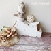 Small Chippy Paint Corbel in Original Condition