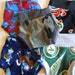 Medium Fleece Soakers