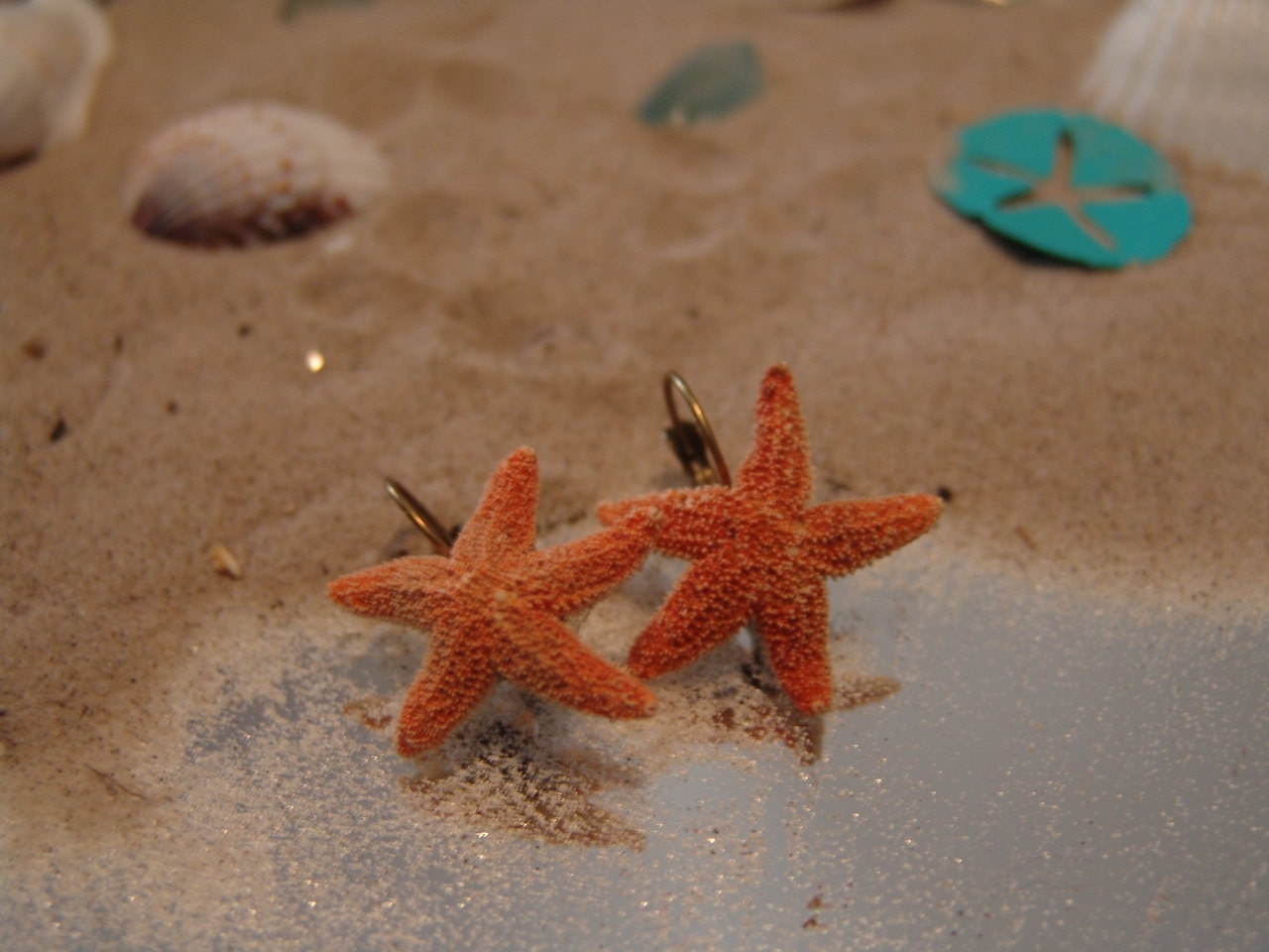 Baby Sugar Sea Star Earrings Sea Inspired by seashellsbyseashore