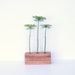 Bud Vases, Test Tube Flower Vase for three flowers, Brown Stained Wood, large