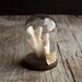 Glass Display Cloche with Wooden Base