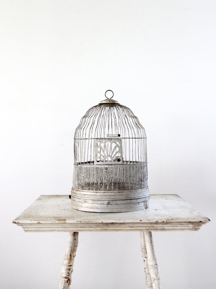 Shop by category Ophelia & Co. Brundon Metal Decorative Bird Cage A lovely metal constructed birdcage is a fantastic option for decorating your gar den. It comes with pretty climbers surrounding the cage.
