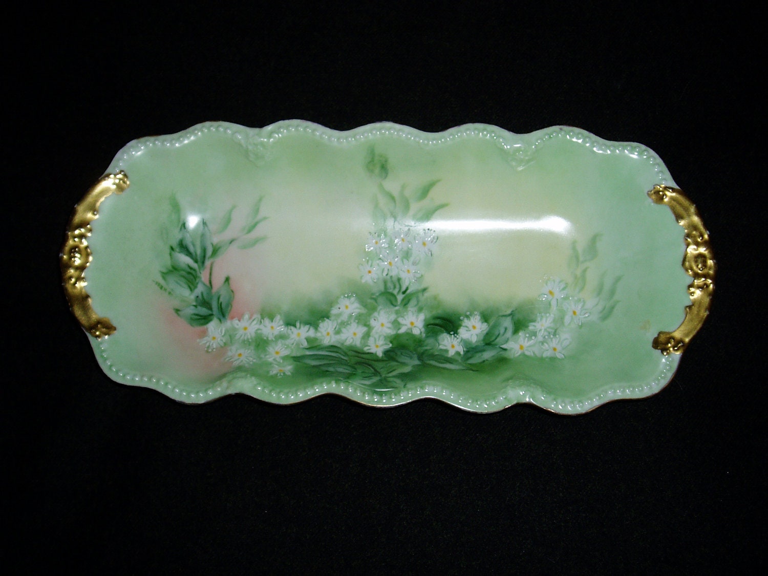 Vintage Celery Dish Limoges France Floral by dayspringcollectible