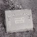 Anna M. Evens- Headstone- 1930s Vintage Photograph