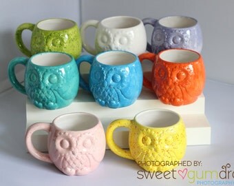 Owl Mug Handmade and Hand Painted Ceramic from my Charleston, SC Studio