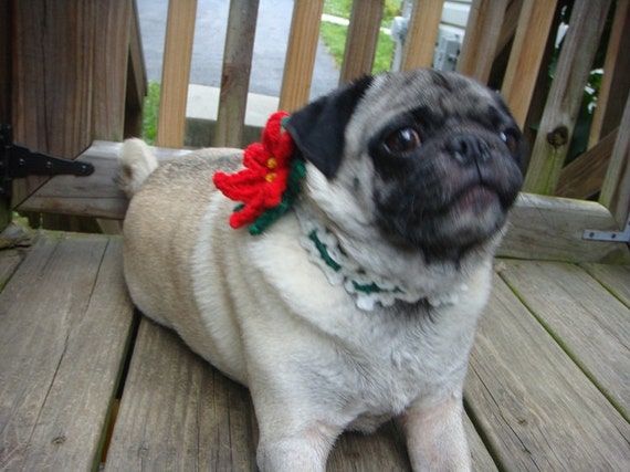Christmas Holly Poinsettia Neck Warmer for Dogs and by Sweethoots
