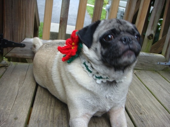 Christmas Holly Poinsettia Neck Warmer for Dogs and by Sweethoots