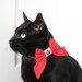 Lady Cat Bow - Canada Day