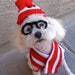 Dog Costume Where's Waldo WOOF Pet Halloween Hat, Scarf, Glasses XS-S